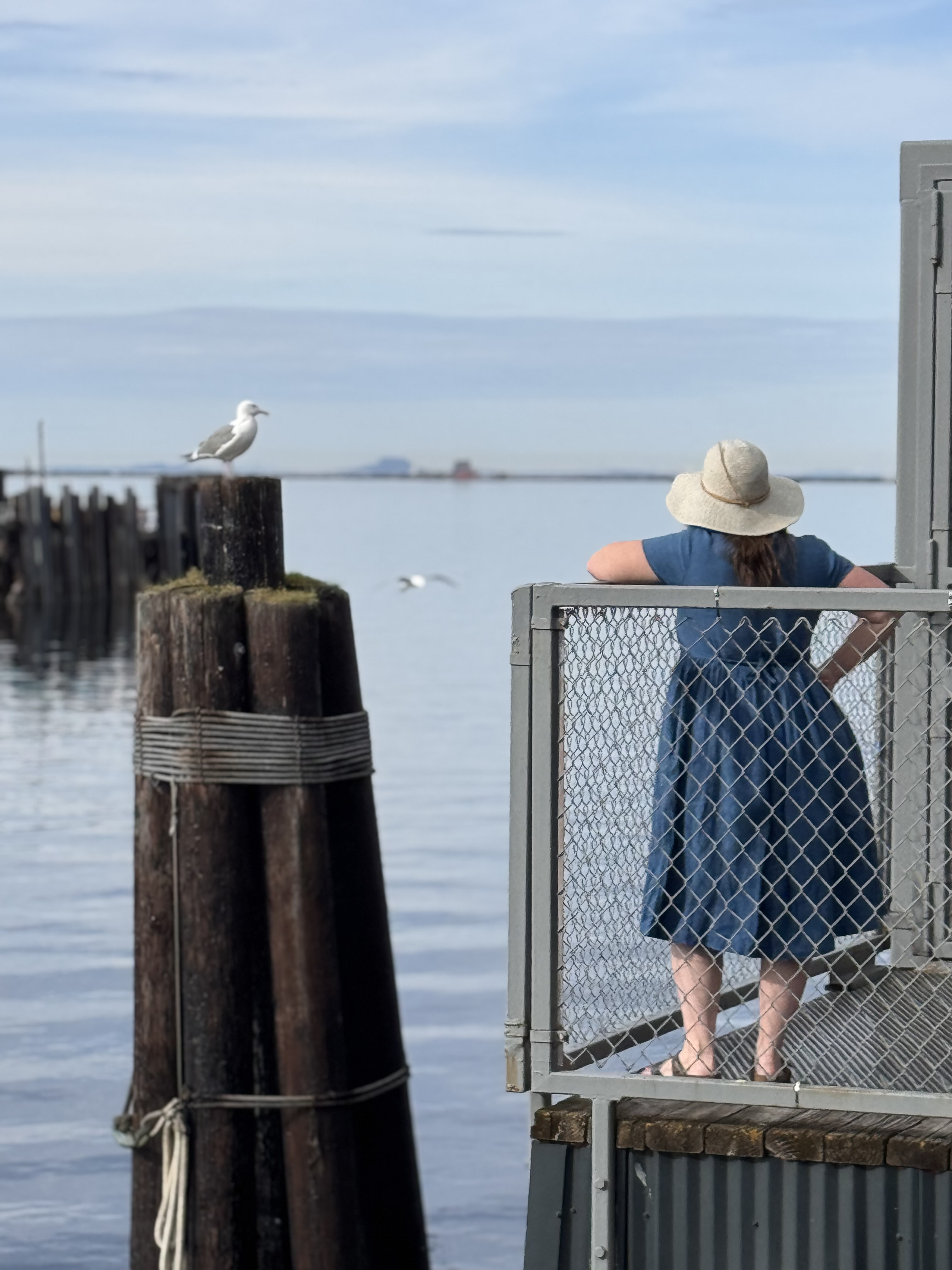The Port Angeles wharf